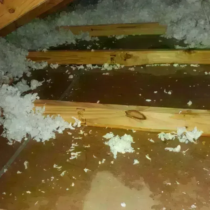 Attic Water Damage in North Warren, PA